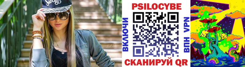 что такое   Мензелинск  Псилоцибиновые грибы MAGIC MUSHROOMS 